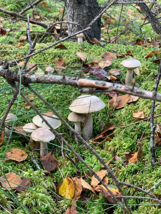 Święty Spokój Łąka i Woda Pozezdrze Exterior foto